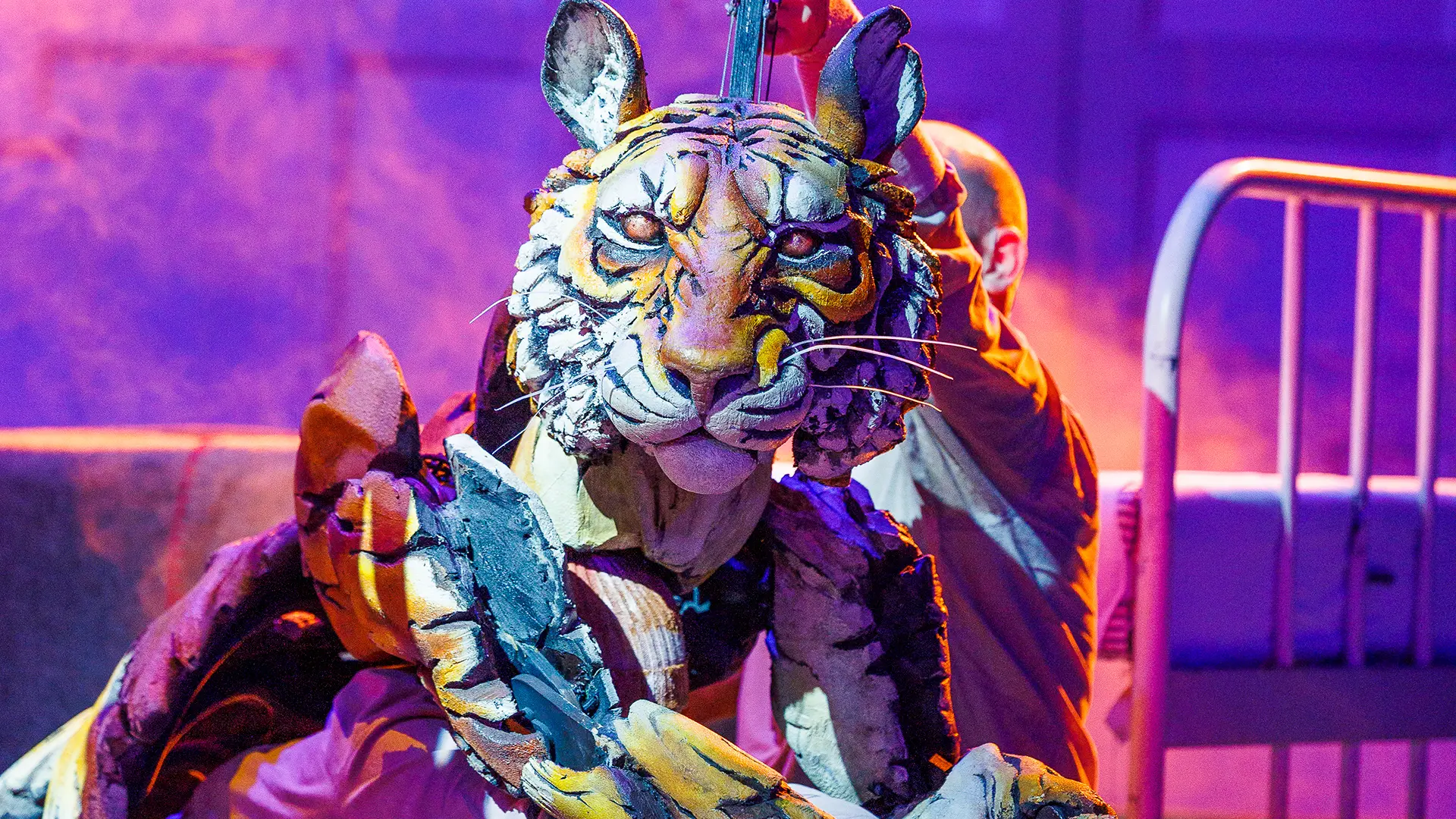 Life of Pi Production company. Photo by Ellie Kurttz